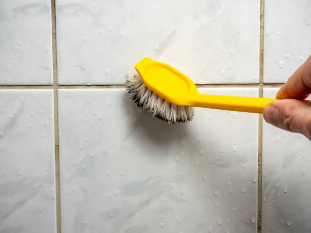 Best Toxic Mold Removal  in Anniston, AL