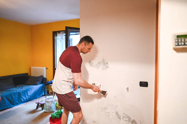 Best Mold Cleaning Services  in Anniston, AL
